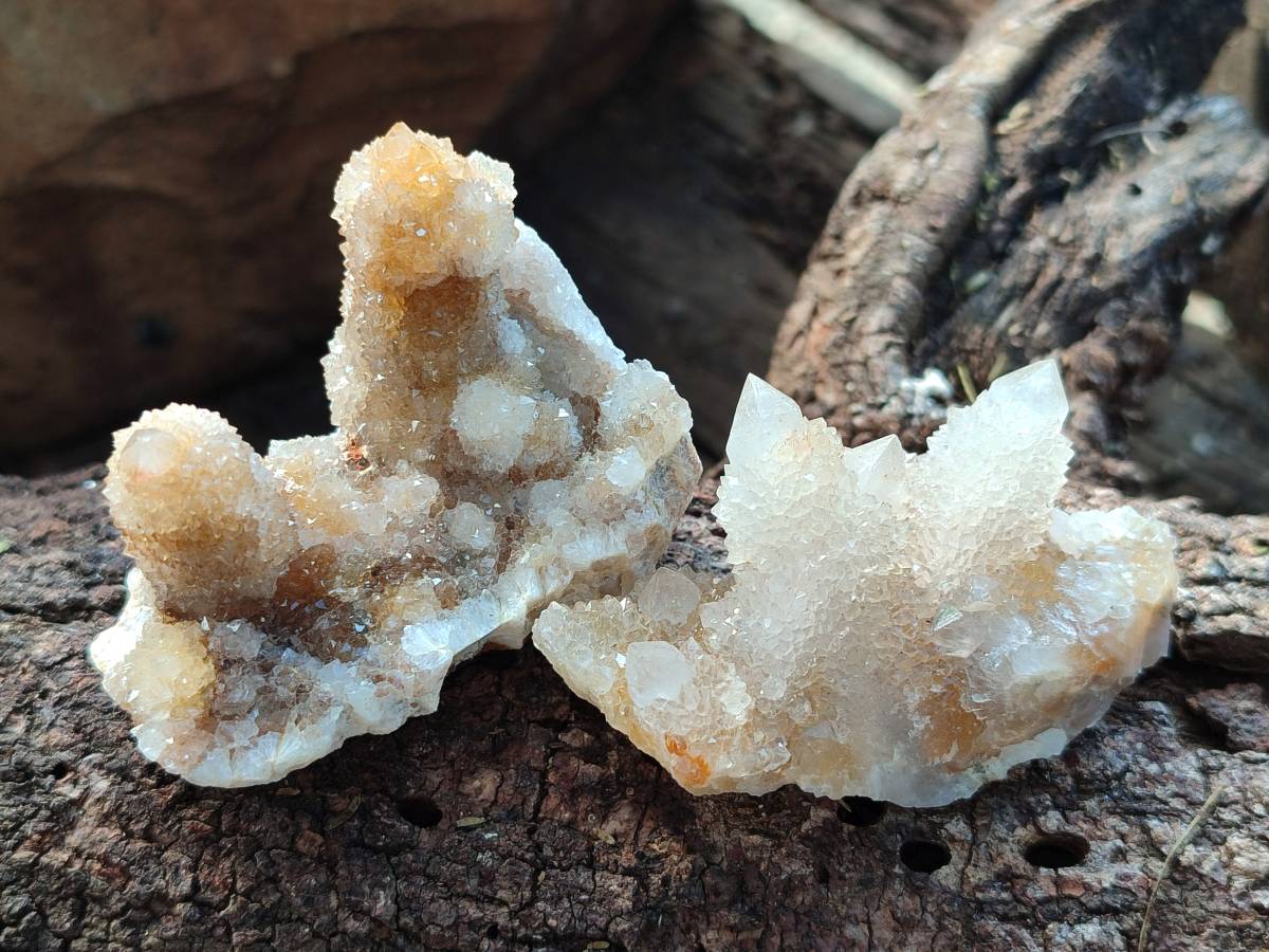 Natural Limonite Coated Fairy Spirit Quartz Clusters x 12 From Boekenhouthoek, South Africa - Toprock Gemstones and Minerals 