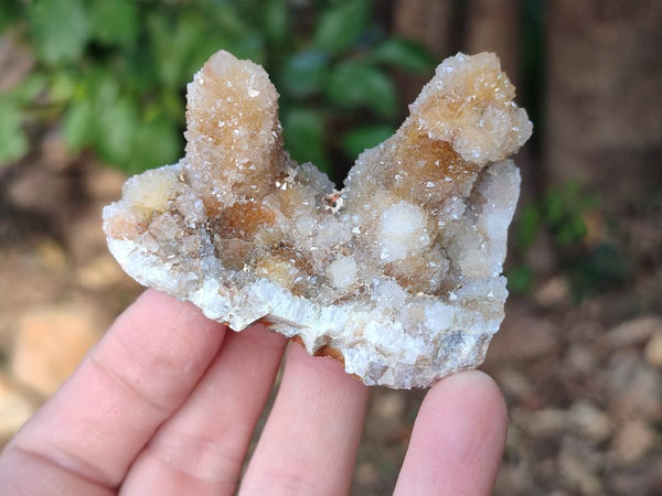 Natural Limonite Coated Fairy Spirit Quartz Clusters x 12 From Boekenhouthoek, South Africa