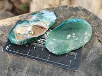 Polished Emerald Mtorolite Free Forms x 12 From Mutorashanga, Zimbabwe - Toprock Gemstones and Minerals 