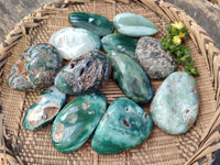 Polished Emerald Mtorolite Free Forms x 12 From Mutorashanga, Zimbabwe - Toprock Gemstones and Minerals 