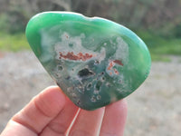 Polished Emerald Mtorolite Free Forms x 12 From Mutorashanga, Zimbabwe - Toprock Gemstones and Minerals 