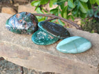 Polished Emerald Mtorolite Free Forms x 12 From Mutorashanga, Zimbabwe - Toprock Gemstones and Minerals 