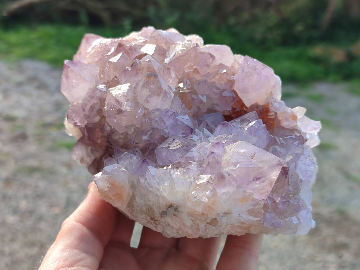 Natural Amethyst Spirit Quartz Clusters x 2 From Boekenhouthoek, South Africa - Toprock Gemstones and Minerals 