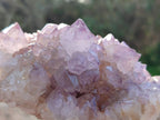 Natural Amethyst Spirit Quartz Clusters x 2 From Boekenhouthoek, South Africa - Toprock Gemstones and Minerals 