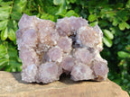 Natural Amethyst Spirit Quartz Clusters x 2 From Boekenhouthoek, South Africa - Toprock Gemstones and Minerals 