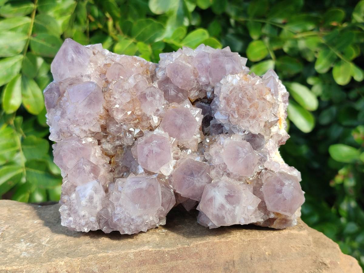 Natural Amethyst Spirit Quartz Clusters x 2 From Boekenhouthoek, South Africa - Toprock Gemstones and Minerals 