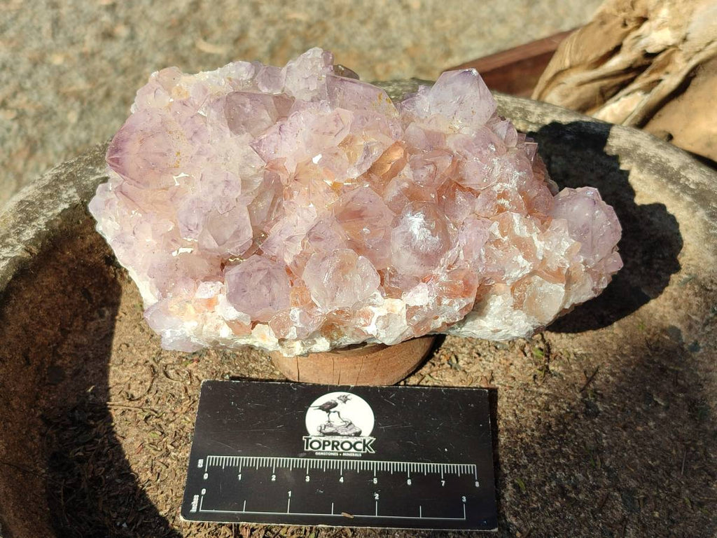 Natural Amethyst Spirit Quartz Clusters x 2 From Boekenhouthoek, South Africa - Toprock Gemstones and Minerals 