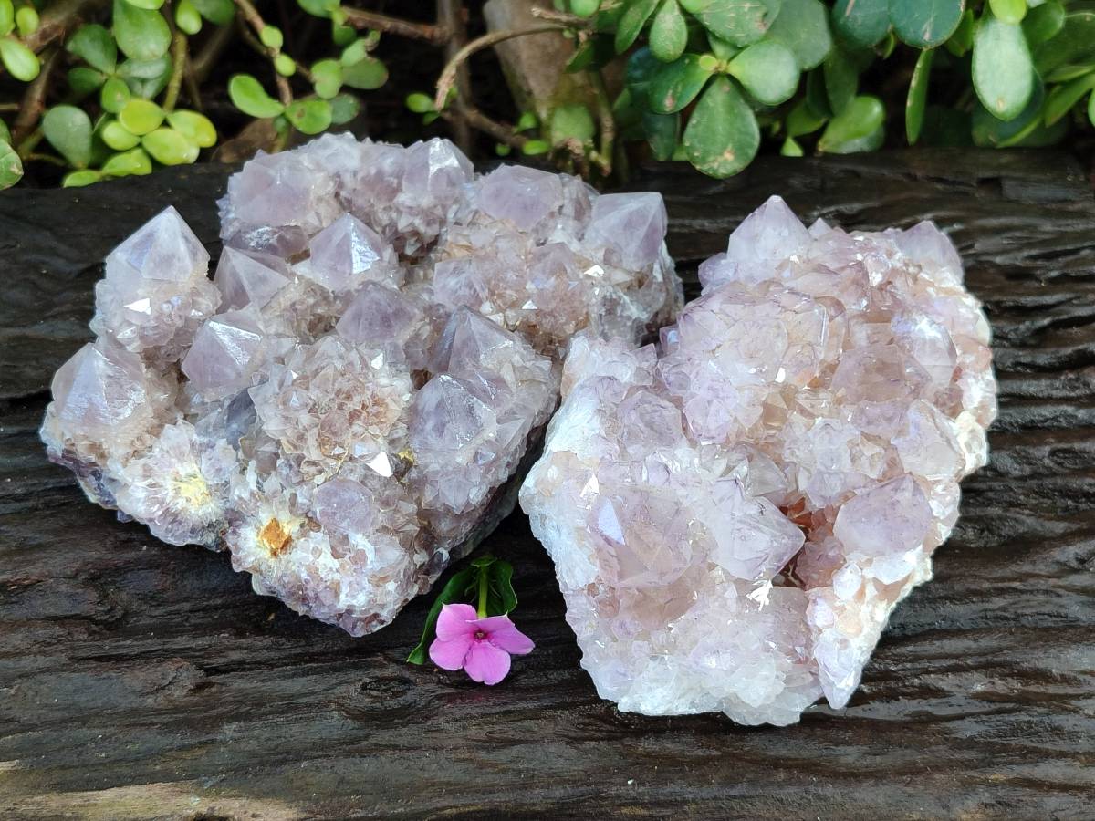 Natural Amethyst Spirit Quartz Clusters x 2 From Boekenhouthoek, South Africa - Toprock Gemstones and Minerals 