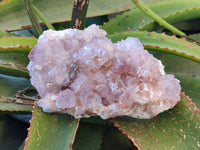 Natural Amethyst Spirit Quartz Clusters x 2 From Boekenhouthoek, South Africa