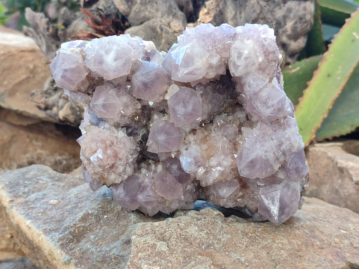 Natural Amethyst Spirit Quartz Clusters x 2 From Boekenhouthoek, South Africa - Toprock Gemstones and Minerals 