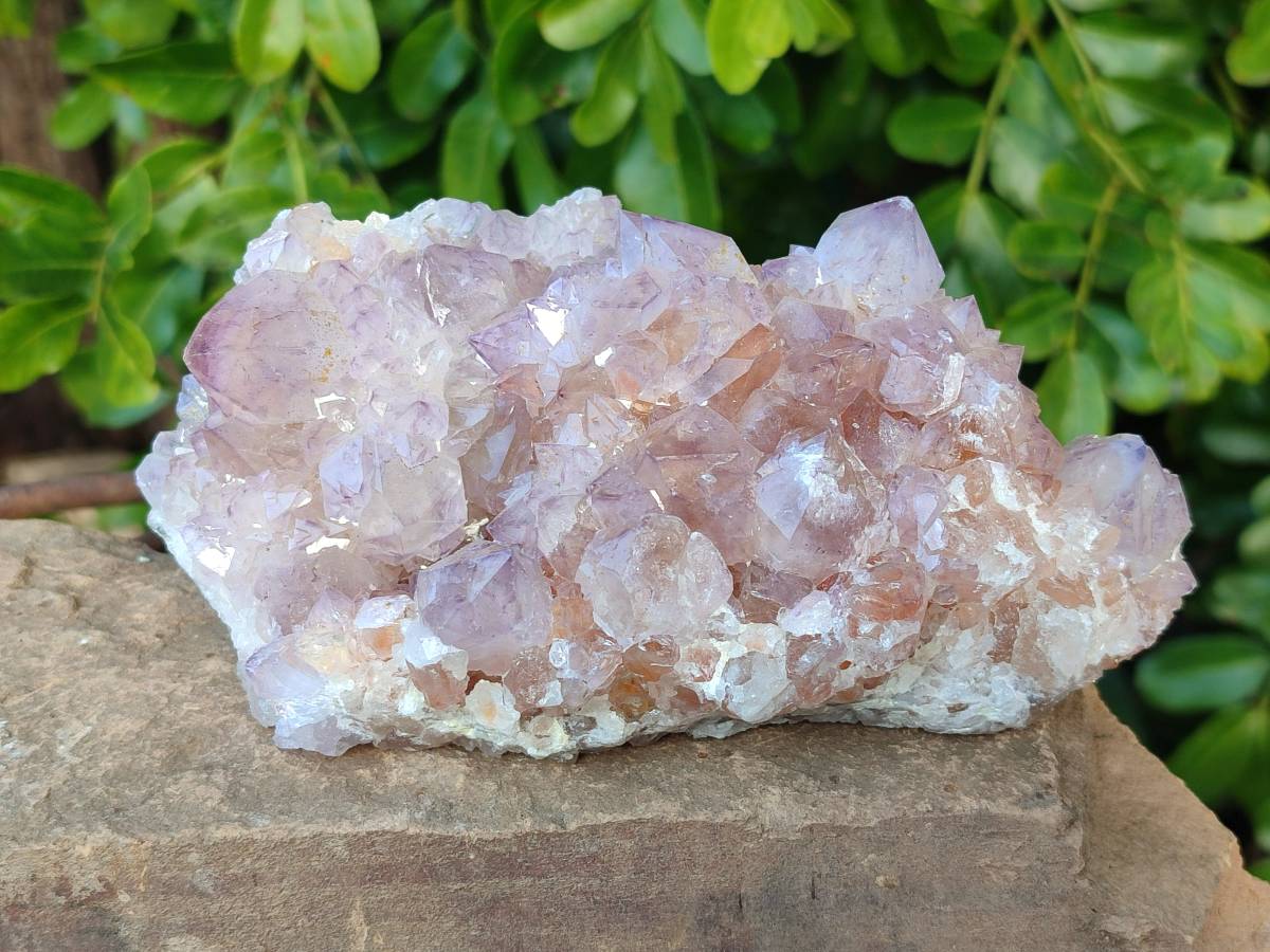 Natural Amethyst Spirit Quartz Clusters x 2 From Boekenhouthoek, South Africa - Toprock Gemstones and Minerals 