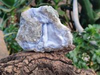 Natural Blue Lace Agate Geode Specimens x 6 From Nsanje, Malawi