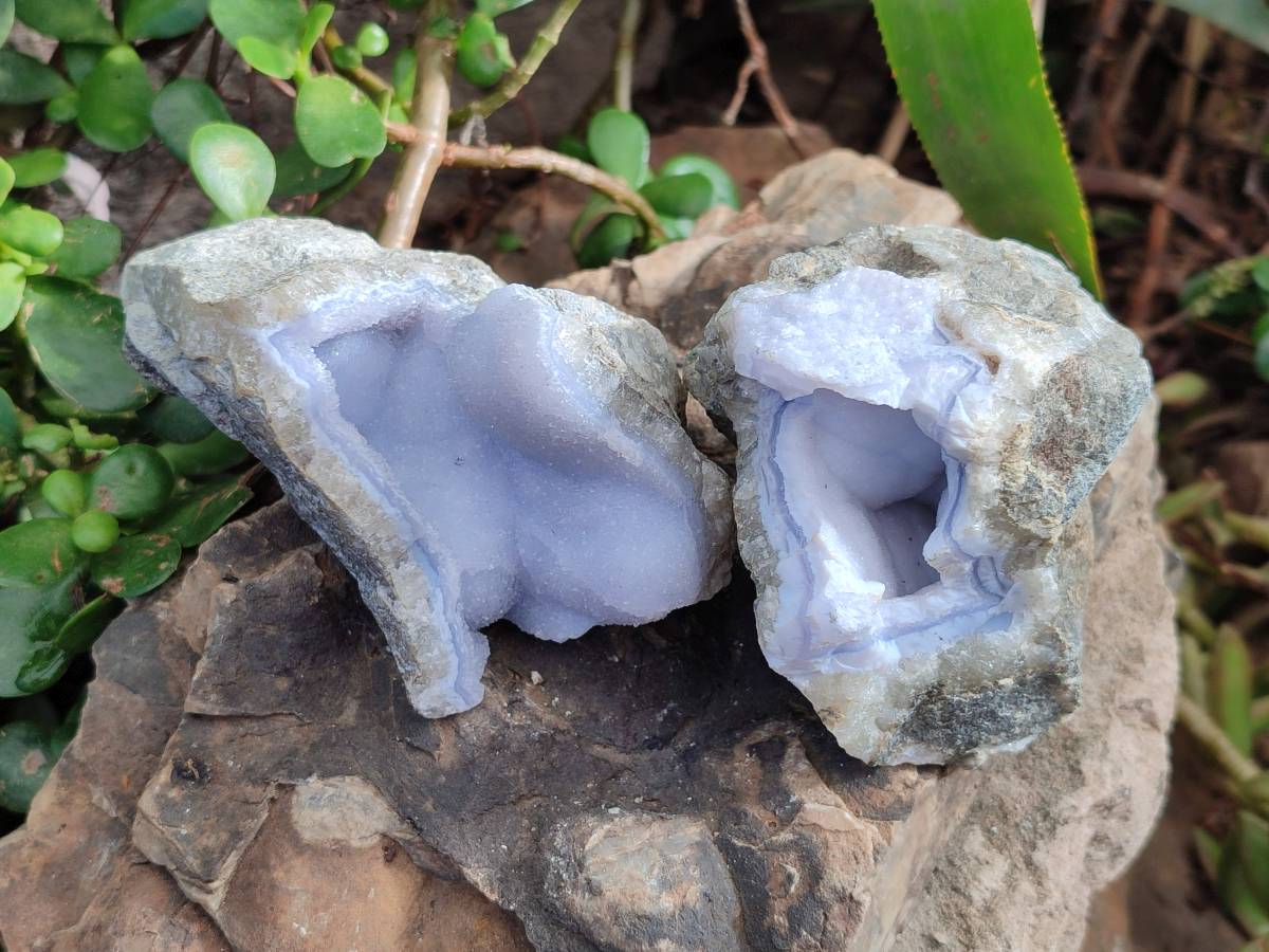 Natural Blue Lace Agate Geode Specimens x 6 From Nsanje, Malawi - Toprock Gemstones and Minerals 