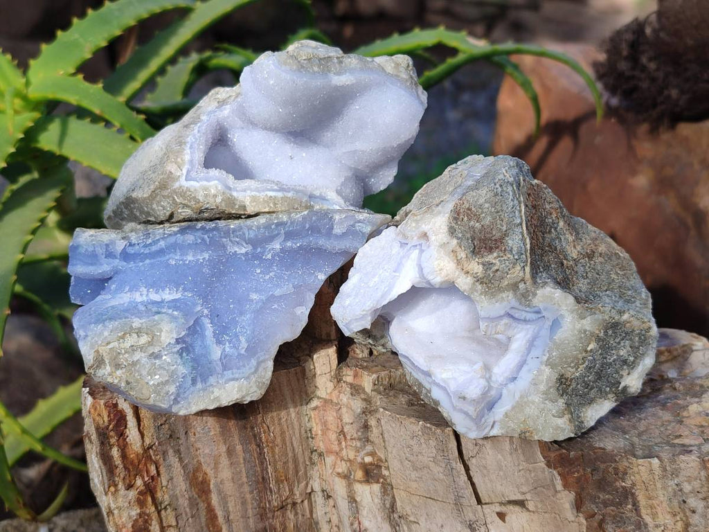 Natural Blue Lace Agate Geode Specimens x 6 From Nsanje, Malawi - Toprock Gemstones and Minerals 