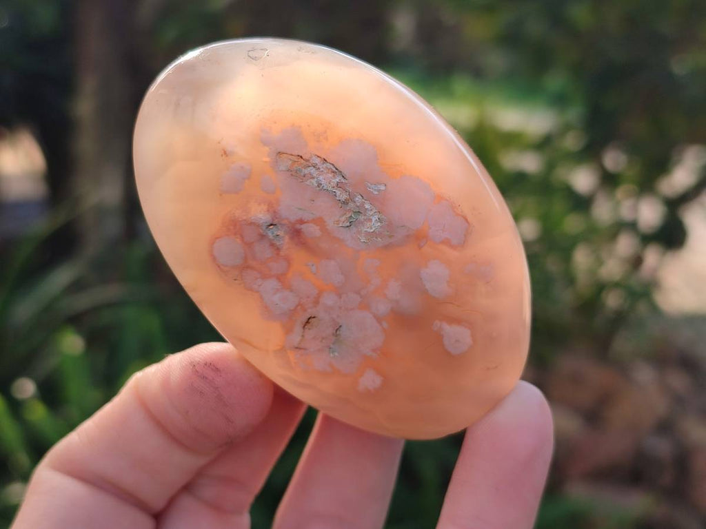 Polished Mixed Agate Free Forms x 4 From Madagascar - Toprock Gemstones and Minerals 