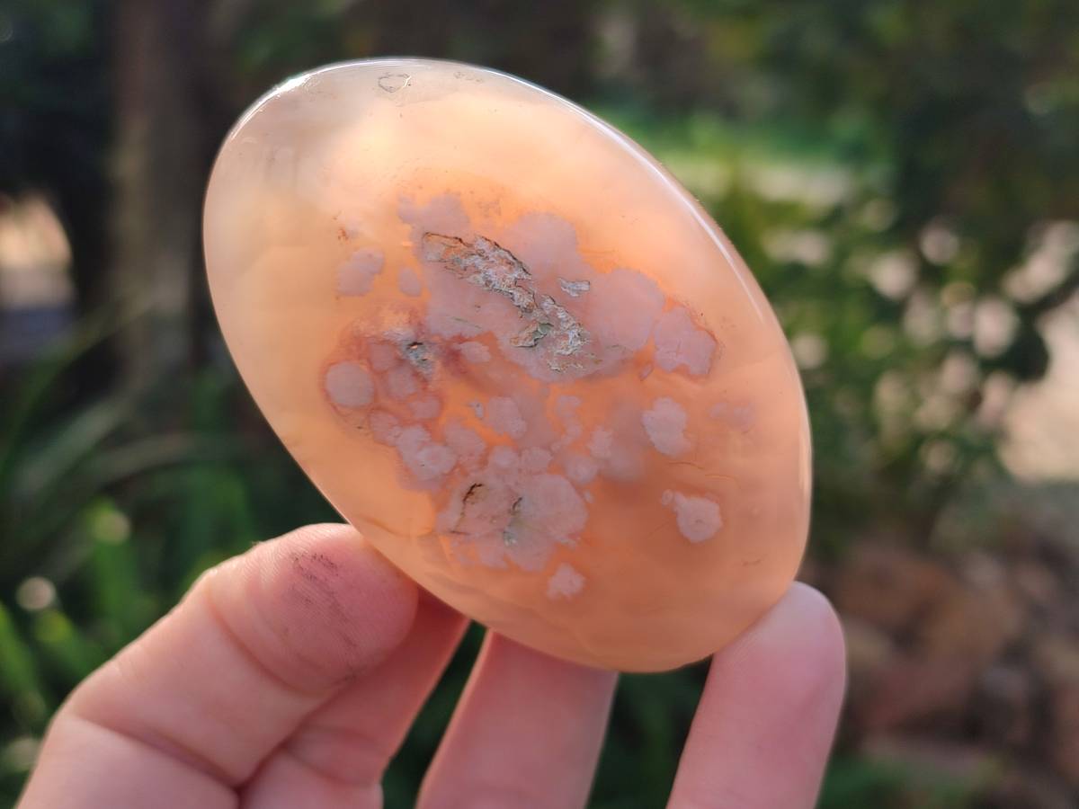 Polished Mixed Agate Free Forms x 4 From Madagascar - Toprock Gemstones and Minerals 