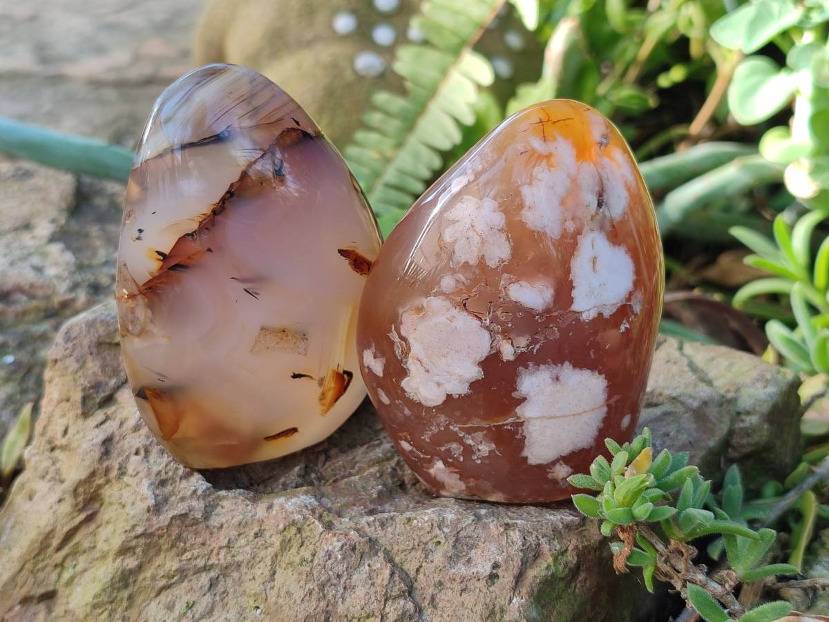 Polished Mixed Agate Free Forms x 4 From Madagascar - Toprock Gemstones and Minerals 