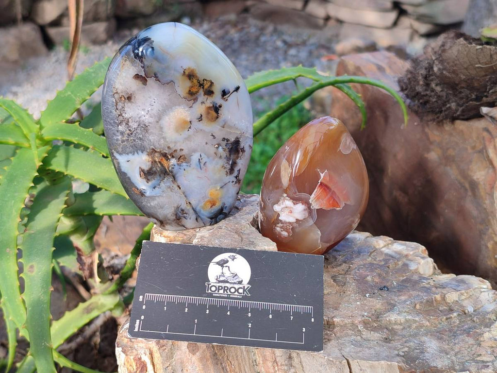 Polished Mixed Agate Free Forms x 4 From Madagascar - Toprock Gemstones and Minerals 