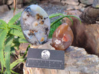 Polished Mixed Agate Free Forms x 4 From Madagascar - Toprock Gemstones and Minerals 