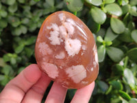 Polished Mixed Agate Free Forms x 4 From Madagascar - Toprock Gemstones and Minerals 