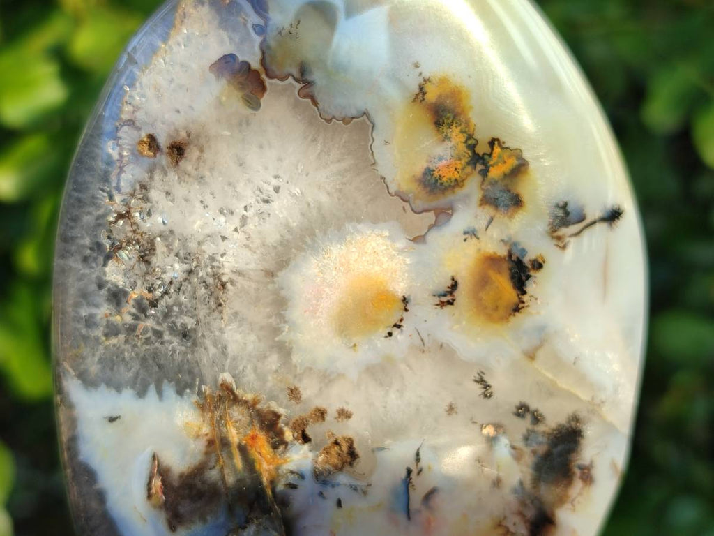 Polished Mixed Agate Free Forms x 4 From Madagascar - Toprock Gemstones and Minerals 