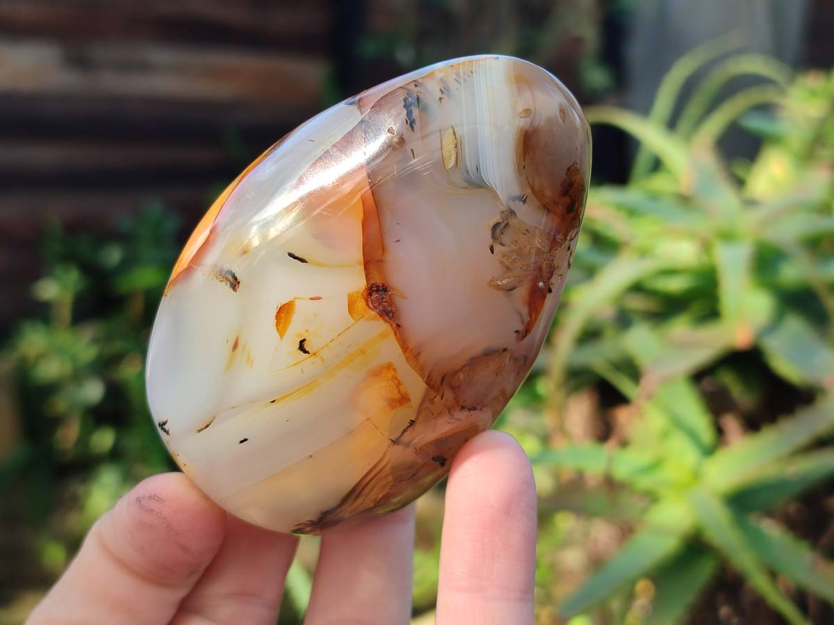 Polished Mixed Agate Free Forms x 4 From Madagascar - Toprock Gemstones and Minerals 
