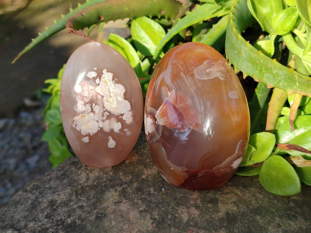 Polished Mixed Agate Free Forms x 4 From Madagascar - Toprock Gemstones and Minerals 
