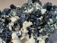 Natural Schorl Black Tourmaline With Fluorite Specimen x 1 From Namibia