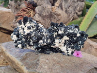 Natural Schorl Black Tourmaline With Fluorite Specimen x 1 From Namibia