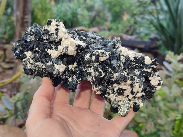 Natural Schorl Black Tourmaline With Fluorite Specimen x 1 From Namibia