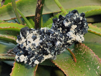 Natural Schorl Black Tourmaline With Fluorite Specimen x 1 From Namibia