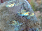 Polished Labradorite Standing Free Forms x 3 From Tulear, Madagascar - Toprock Gemstones and Minerals 