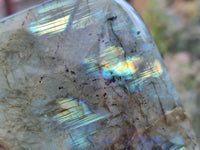 Polished Labradorite Standing Free Forms x 3 From Tulear, Madagascar - Toprock Gemstones and Minerals 
