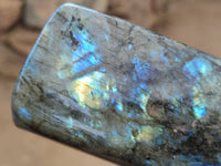 Polished Labradorite Standing Free Forms x 3 From Tulear, Madagascar - Toprock Gemstones and Minerals 