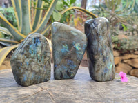 Polished Labradorite Standing Free Forms x 3 From Tulear, Madagascar - Toprock Gemstones and Minerals 