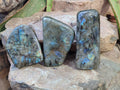 Polished Labradorite Standing Free Forms x 3 From Tulear, Madagascar - Toprock Gemstones and Minerals 