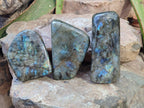 Polished Labradorite Standing Free Forms x 3 From Tulear, Madagascar - Toprock Gemstones and Minerals 