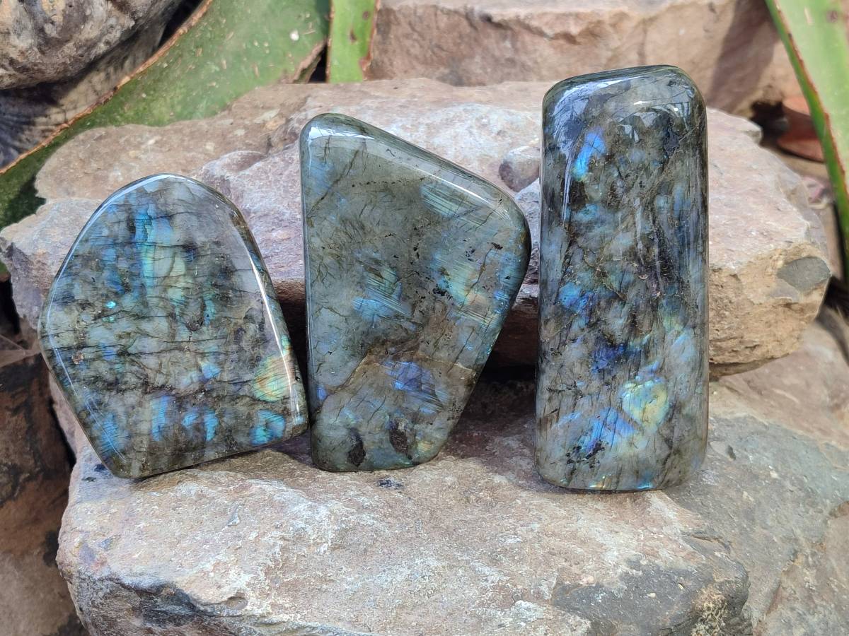 Polished Labradorite Standing Free Forms x 3 From Tulear, Madagascar - Toprock Gemstones and Minerals 