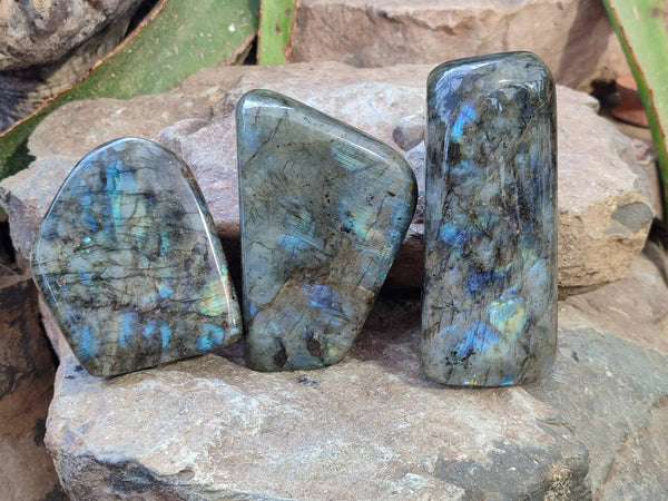 Polished Labradorite Standing Free Forms x 3 From Tulear, Madagascar - Toprock Gemstones and Minerals 
