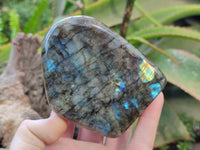Polished Labradorite Standing Free Forms x 3 From Tulear, Madagascar - Toprock Gemstones and Minerals 