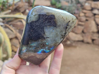 Polished Labradorite Standing Free Forms x 3 From Tulear, Madagascar - Toprock Gemstones and Minerals 
