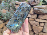 Polished Labradorite Standing Free Forms x 3 From Tulear, Madagascar - Toprock Gemstones and Minerals 