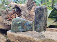 Polished Labradorite Standing Free Forms x 3 From Tulear, Madagascar - Toprock Gemstones and Minerals 