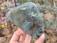 Polished Labradorite Standing Free Forms x 3 From Tulear, Madagascar - Toprock Gemstones and Minerals 