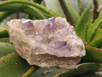 Natural Smokey Amethyst Window Quartz Specimens x 4 From Brandberg, Namibia - Toprock Gemstones and Minerals 