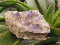 Natural Smokey Amethyst Window Quartz Specimens x 4 From Brandberg, Namibia