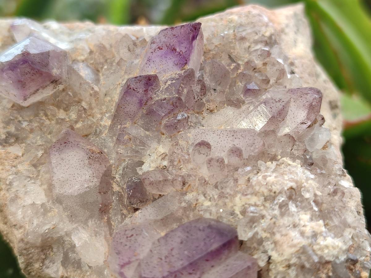 Natural Smokey Amethyst Window Quartz Specimens x 4 From Brandberg, Namibia - Toprock Gemstones and Minerals 