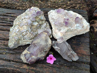 Natural Smokey Amethyst Window Quartz Specimens x 4 From Brandberg, Namibia