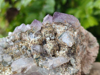 Natural Smokey Amethyst Window Quartz Specimens x 4 From Brandberg, Namibia