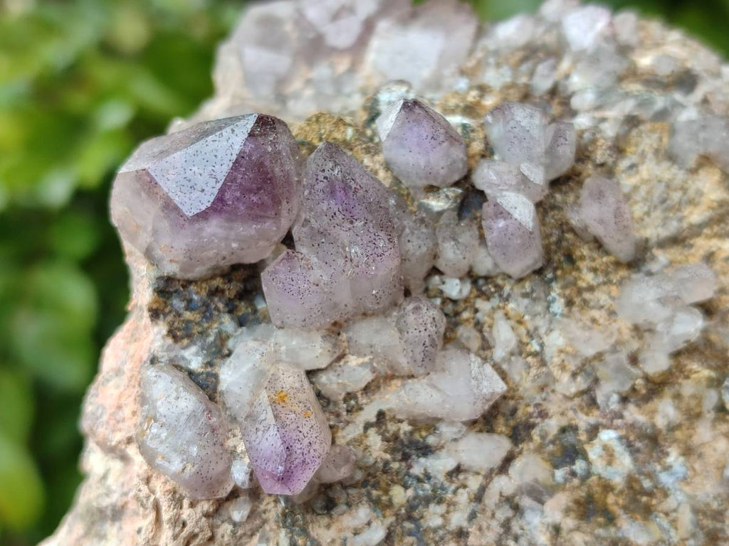 Natural Smokey Amethyst Window Quartz Specimens x 4 From Brandberg, Namibia - Toprock Gemstones and Minerals 